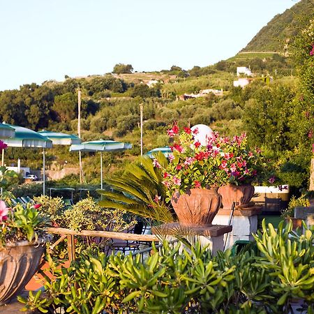 Hotel Poggio Del Sole Forio di Ischia 餐厅 照片