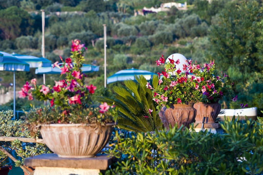 Hotel Poggio Del Sole Forio di Ischia 外观 照片