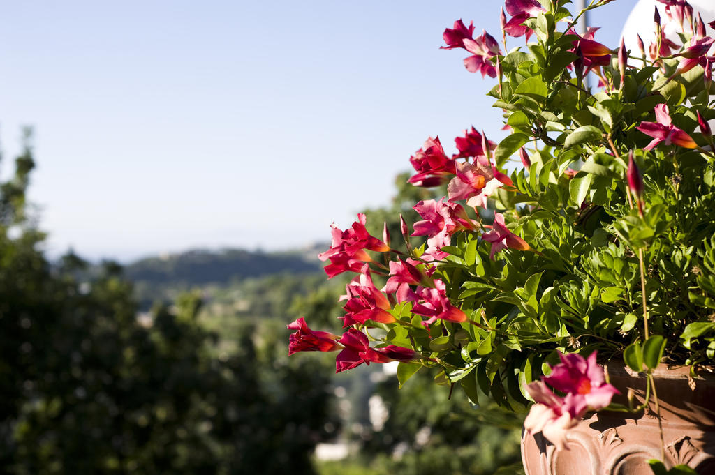 Hotel Poggio Del Sole Forio di Ischia 外观 照片