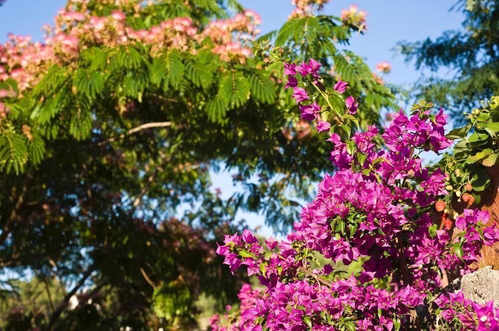 Hotel Poggio Del Sole Forio di Ischia 外观 照片