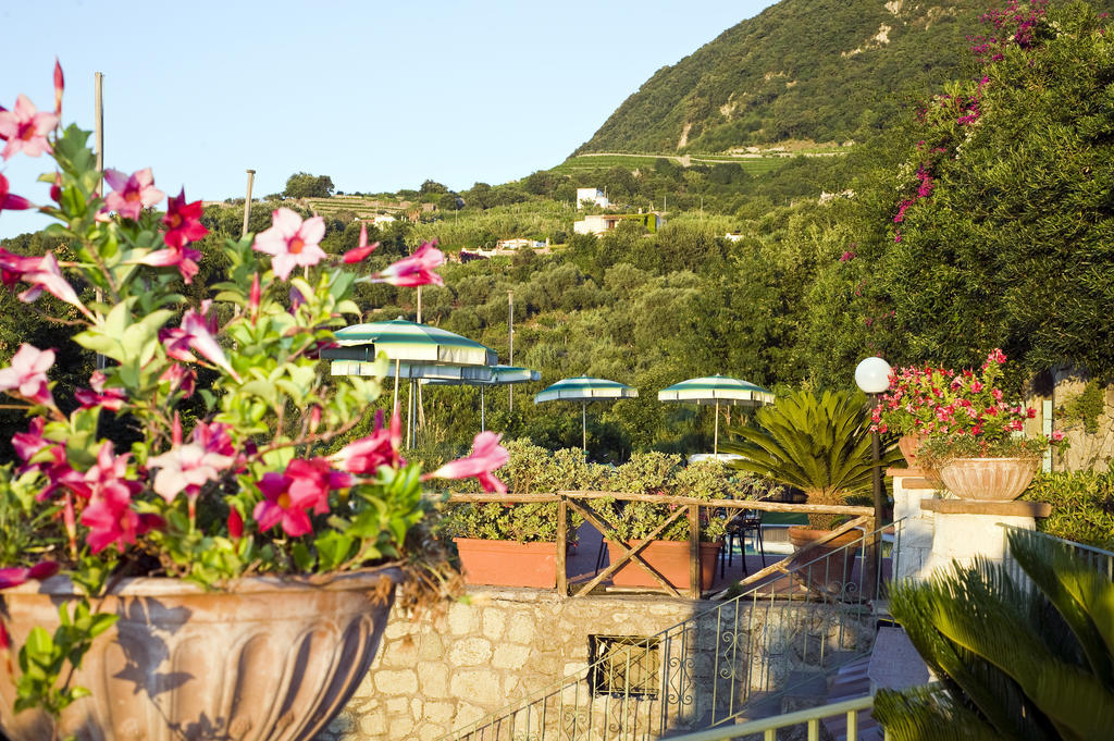 Hotel Poggio Del Sole Forio di Ischia 外观 照片
